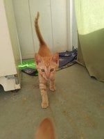 20180712_083708.jpg