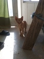 20180712_083701.jpg