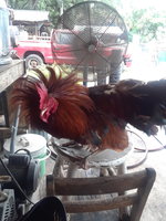 20180706_104356.jpg
