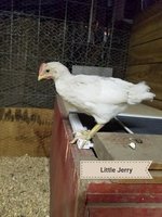 20180712_100438.jpg