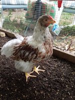 2018-06-18 19.08.06.jpg