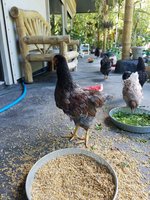 2018-06-27 14.23.56.jpg