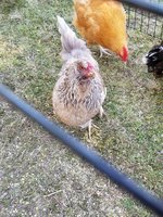 20180710_095826.jpg