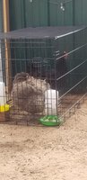 20180713_104401.jpg