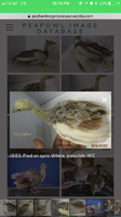 C203AF7D-397D-4A16-965C-33BC4974EB9C.png