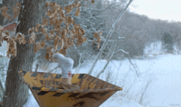 3509752C-AC03-49EA-AB06-D776297D3D0F.gif