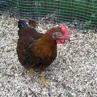 WP_20180713_016.jpg WP_20180713_016.jpg