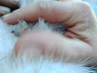 IMG20180714130358.jpg