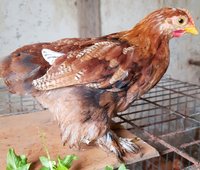 20180714_133811.jpg