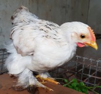20180714_134323.jpg