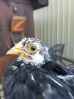 20180711_175814.jpg