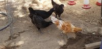 20180714_114456.jpg