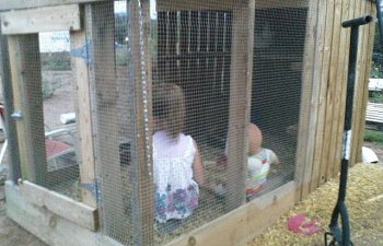 82226_banty_coop3.jpg 82226_banty_coop3.jpg