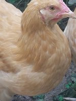 20180715_113518.jpg