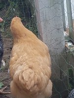 20180715_113607.jpg