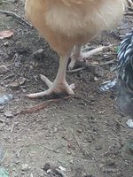 20180715_113555.jpg