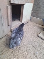 20180715_101306.jpg