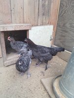 20180715_101347.jpg