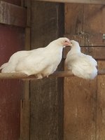 20180715_100410.jpg