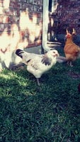 20180715_174427_Film1.jpg