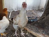 20180715_175939.jpg 20180715_175939.jpg