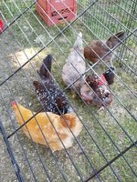 20180710_095842.jpg
