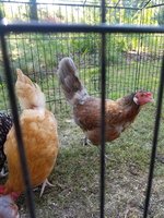 20180710_095519.jpg