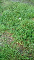 IMG_20180716_102020.jpg