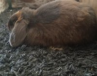 20180716_124531.jpg