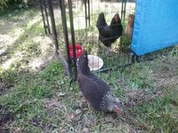 20180716_094558.jpg