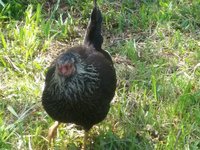 20180716_094551.jpg