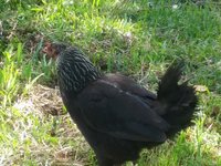 20180716_094548.jpg