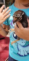 20180715_123708.jpg