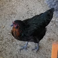 20180626_115110.jpg