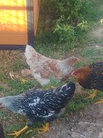 20180605_073416.jpg