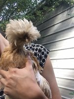 betty.jpg
