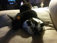 20180717_203052.jpg
