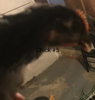 9EC76374-FB4F-437E-9D8E-B5393A1E9FDB.jpeg
