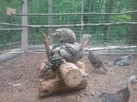 20180717_141826.jpg