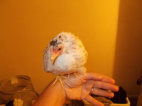 DSCN9029.JPG