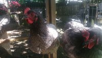 20180718_091205.jpg