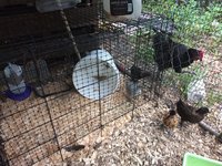IMG_20180713_134727900.jpg