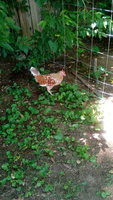20180718_131634.jpg