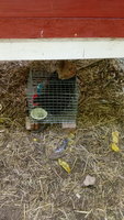 20180718_131411.jpg