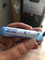 Euphrasia Pic.jpg
