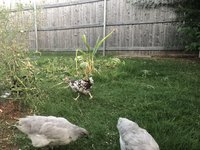 3155E4AD-3C11-46CC-BF8E-2F0C73BD24B5.jpeg