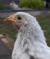 20180715_085226.jpg