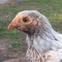 20180715_085138.jpg