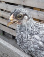 20180715_085020.jpg