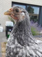 20180715_084940.jpg